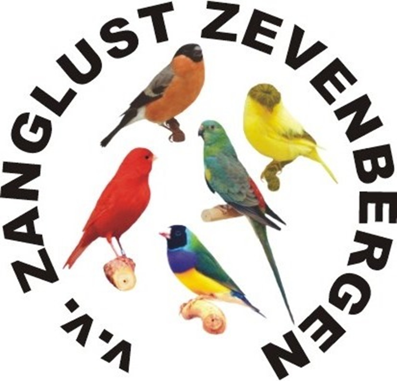 VV Zanglust Zevenbergen Logo